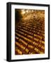 Pakistani Muslims Perform a Prayer Called "Tarawih"-null-Framed Photographic Print