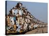 Pakistani Sunni Muslims Return Back to their Homes after Attending an Annual Religious Congregation-null-Stretched Canvas