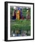 Pakistani Women Walking Home after Collecting Fresh Water on the Outskirts of Islamabad-null-Framed Photographic Print