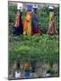 Pakistani Women Walking Home after Collecting Fresh Water on the Outskirts of Islamabad-null-Mounted Photographic Print