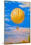 Pal Szinyei Merse The Balloon Art Print Poster-null-Mounted Poster