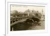 Palace and Alexander Bridge, Paris, France-null-Framed Premium Giclee Print