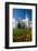 Palace and Monastery Bogolyubovo Near Vladimir, Golden Ring, Russia, Europe-Michael Runkel-Framed Photographic Print