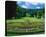 Palace Garden Kassel Germany-null-Stretched Canvas