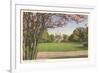Palace Green, Williamsburg, Virginia-null-Framed Premium Giclee Print