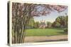 Palace Green, Williamsburg, Virginia-null-Stretched Canvas