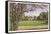 Palace Green, Williamsburg, Virginia-null-Framed Stretched Canvas