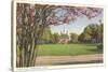 Palace Green, Williamsburg, Virginia-null-Stretched Canvas