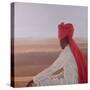 Palace Guard, Jaipur-Lincoln Seligman-Stretched Canvas
