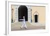 Palace Guard, Palais Princier, Monaco-Ville, Monaco, Europe-Amanda Hall-Framed Photographic Print