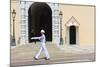 Palace Guard, Palais Princier, Monaco-Ville, Monaco, Europe-Amanda Hall-Mounted Photographic Print