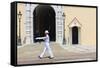 Palace Guard, Palais Princier, Monaco-Ville, Monaco, Europe-Amanda Hall-Framed Stretched Canvas