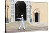 Palace Guard, Palais Princier, Monaco-Ville, Monaco, Europe-Amanda Hall-Stretched Canvas