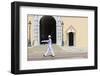 Palace Guard, Palais Princier, Monaco-Ville, Monaco, Europe-Amanda Hall-Framed Photographic Print