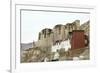 Palace in Leh with Lamo House Below. Ladakh, India, Asia-Thomas L-Framed Photographic Print