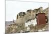 Palace in Leh with Lamo House Below. Ladakh, India, Asia-Thomas L-Mounted Photographic Print