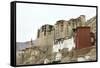 Palace in Leh with Lamo House Below. Ladakh, India, Asia-Thomas L-Framed Stretched Canvas