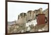 Palace in Leh with Lamo House Below. Ladakh, India, Asia-Thomas L-Framed Premium Photographic Print