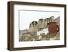 Palace in Leh with Lamo House Below. Ladakh, India, Asia-Thomas L-Framed Photographic Print