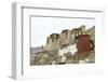 Palace in Leh with Lamo House Below. Ladakh, India, Asia-Thomas L-Framed Photographic Print