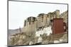 Palace in Leh with Lamo House Below. Ladakh, India, Asia-Thomas L-Mounted Photographic Print