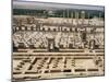 Palace of a Hundred Columns in Foreground with the Apadana Behind, Persepolis, Iran-David Poole-Mounted Photographic Print