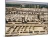 Palace of a Hundred Columns in Foreground with the Apadana Behind, Persepolis, Iran-David Poole-Mounted Photographic Print