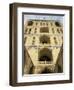 Palace of Ali Ghapu from the Rear, Esfahan, Iran, Middle East-David Poole-Framed Photographic Print