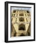 Palace of Ali Ghapu from the Rear, Esfahan, Iran, Middle East-David Poole-Framed Photographic Print