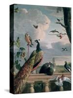 Palace of Amsterdam with Exotic Birds-Melchior de Hondecoeter-Stretched Canvas