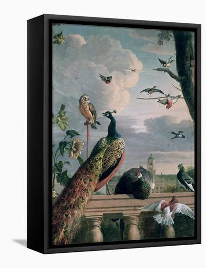 Palace of Amsterdam with Exotic Birds-Melchior de Hondecoeter-Framed Stretched Canvas