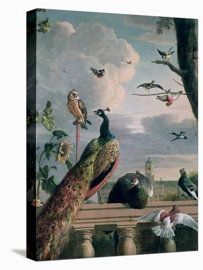 Palace of Amsterdam with Exotic Birds-Melchior de Hondecoeter-Stretched Canvas