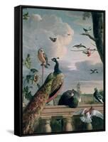 Palace of Amsterdam with Exotic Birds-Melchior de Hondecoeter-Framed Stretched Canvas