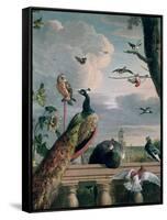 Palace of Amsterdam with Exotic Birds-Melchior de Hondecoeter-Framed Stretched Canvas