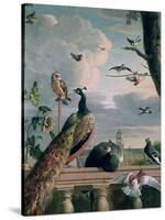 Palace of Amsterdam with Exotic Birds-Melchior de Hondecoeter-Stretched Canvas