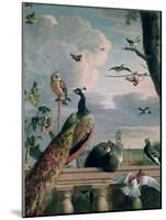 Palace of Amsterdam with Exotic Birds-Melchior de Hondecoeter-Mounted Giclee Print