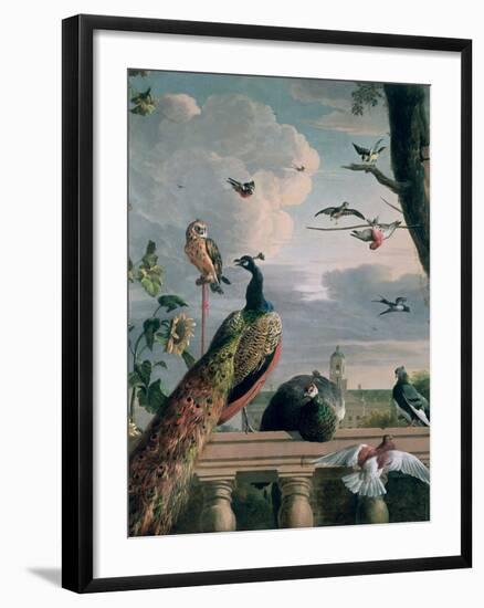 Palace of Amsterdam with Exotic Birds-Melchior de Hondecoeter-Framed Giclee Print