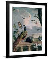 Palace of Amsterdam with Exotic Birds-Melchior de Hondecoeter-Framed Giclee Print