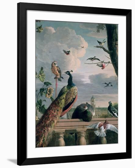 Palace of Amsterdam with Exotic Birds-Melchior de Hondecoeter-Framed Giclee Print