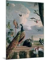 Palace of Amsterdam with Exotic Birds-Melchior de Hondecoeter-Mounted Giclee Print