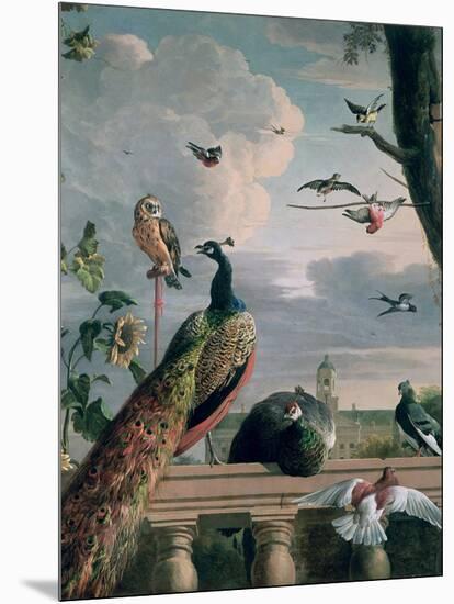 Palace of Amsterdam with Exotic Birds-Melchior de Hondecoeter-Mounted Giclee Print