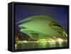 Palace of Arts at Night, City of Arts and Sciences, Valencia, Spain, Europe-Jean Brooks-Framed Stretched Canvas