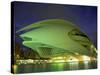 Palace of Arts at Night, City of Arts and Sciences, Valencia, Spain, Europe-Jean Brooks-Stretched Canvas