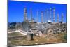 Palace of Columns, Tolmeita, Libya-Vivienne Sharp-Mounted Photographic Print