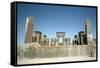 Palace of Darius, Persepolis, Iran-Vivienne Sharp-Framed Stretched Canvas