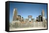 Palace of Darius, Persepolis, Iran-Vivienne Sharp-Framed Stretched Canvas