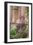 Palace of Fine Arts, Marina District, San Francisco, California-Anna Miller-Framed Photographic Print