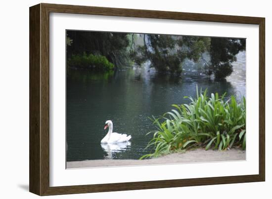 Palace of Fine Arts, Marina District, San Francisco, California-Anna Miller-Framed Photographic Print