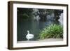 Palace of Fine Arts, Marina District, San Francisco, California-Anna Miller-Framed Photographic Print