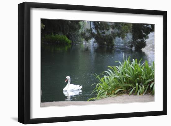 Palace of Fine Arts, Marina District, San Francisco, California-Anna Miller-Framed Photographic Print